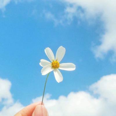 金年汇网页版登录入口特色